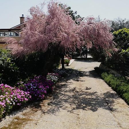 Appartamento Casa Noemi Sperlonga Esterno foto