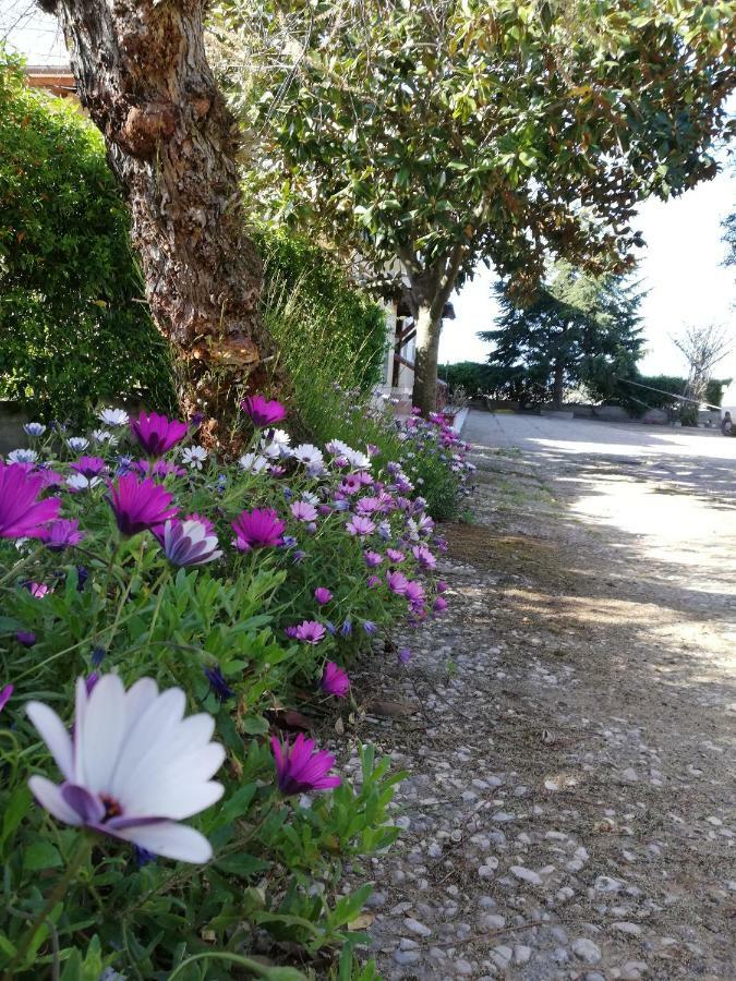 Appartamento Casa Noemi Sperlonga Esterno foto